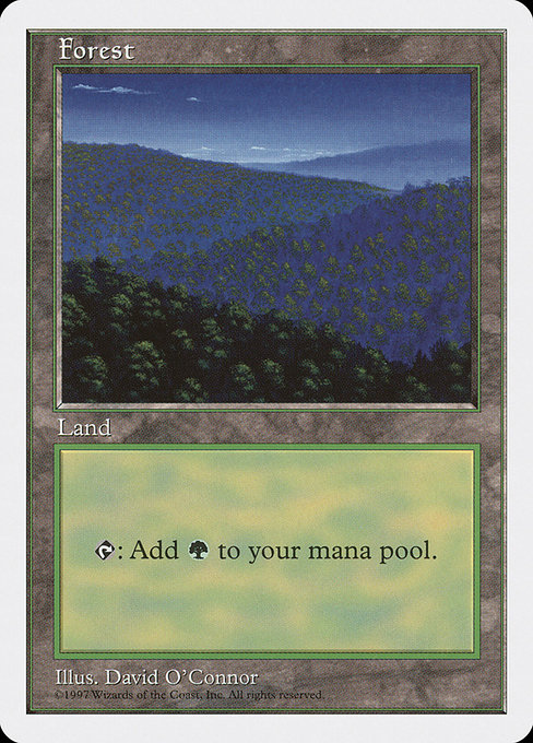 Forest 447