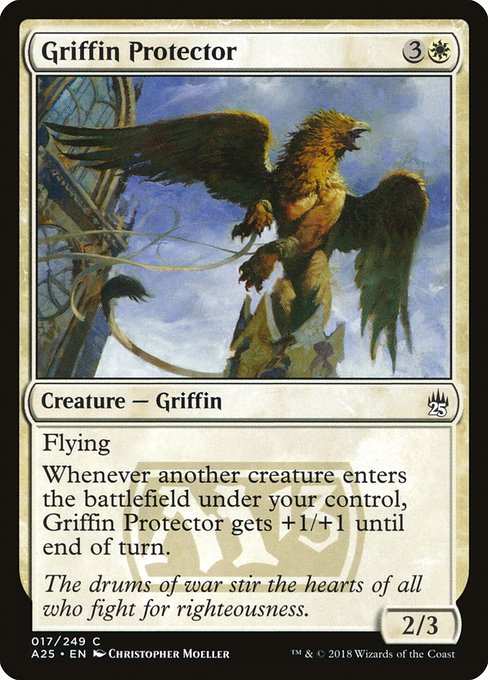 Griffin Protector 17