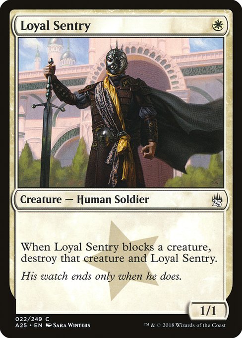 Loyal Sentry 22