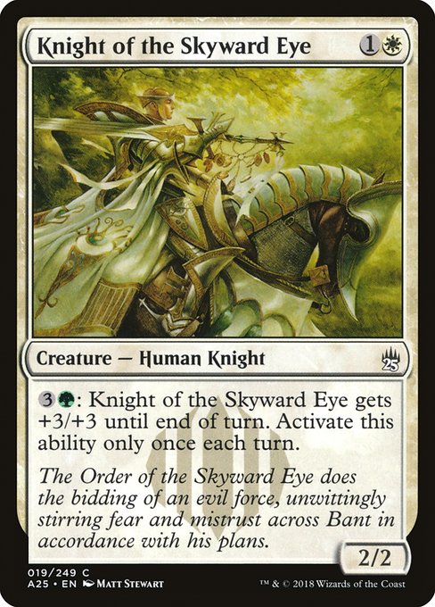 Knight of the Skyward Eye 19