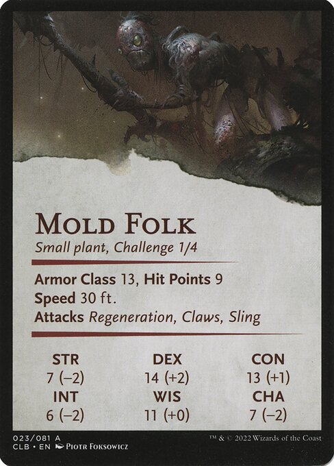 Mold Folk // Mold Folk 23, back face