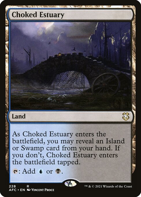 Choked Estuary 228