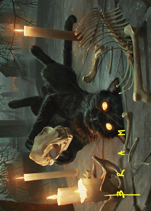 Nine-Lives Familiar // Nine-Lives Familiar 8