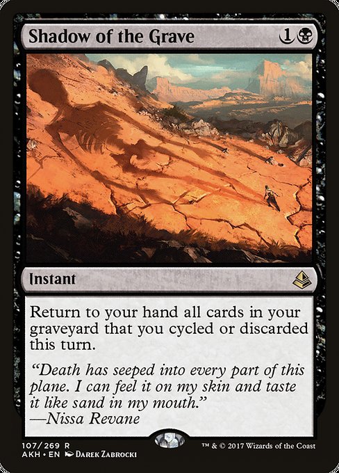 Shadow of the Grave 107