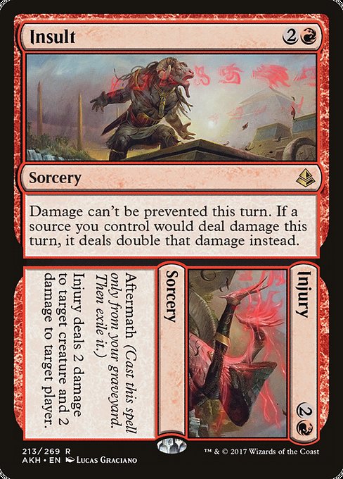 Insult // Injury 213