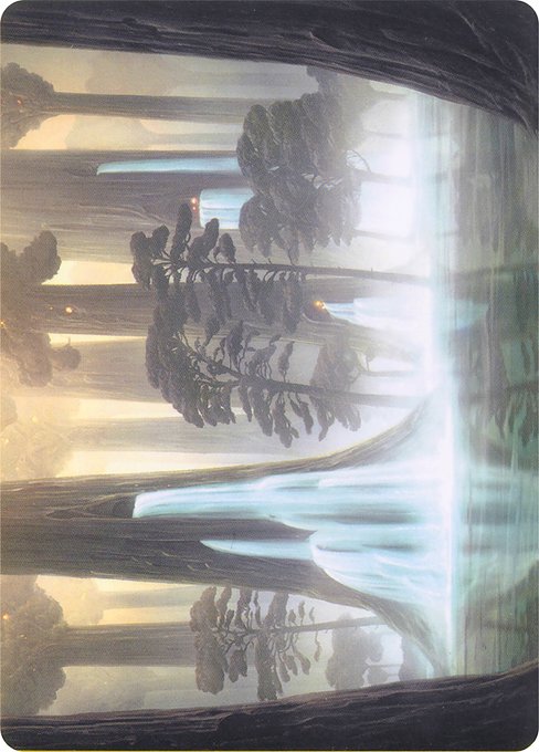 Waterlogged Grove // Waterlogged Grove 52