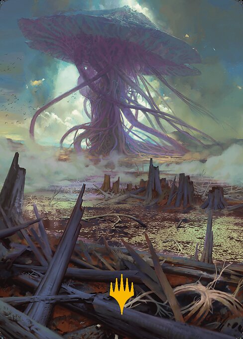 Swamp // Swamp 24