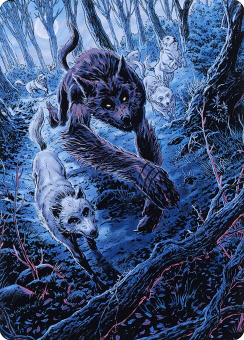 Untamed Pup // Untamed Pup 77