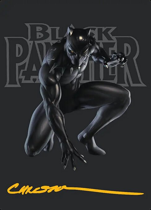 Black Panther, Hope Enduring // Black Panther, Hope Enduring 27