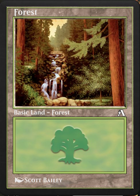 Forest 18
