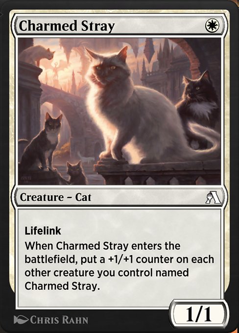 Charmed Stray 5