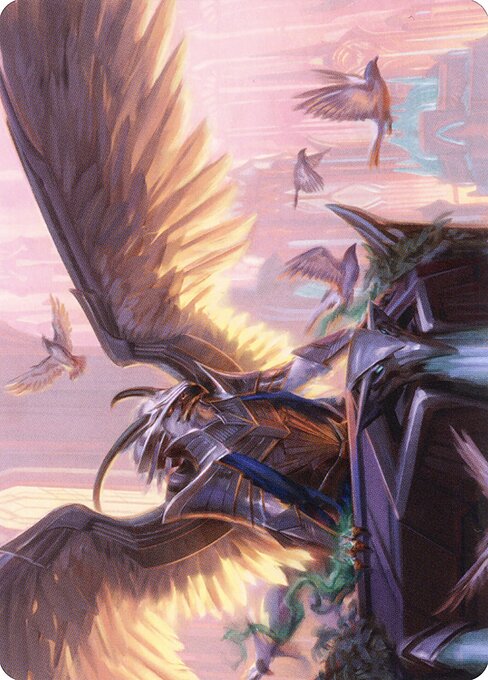 Falco Spara, Pactweaver // Falco Spara, Pactweaver 25