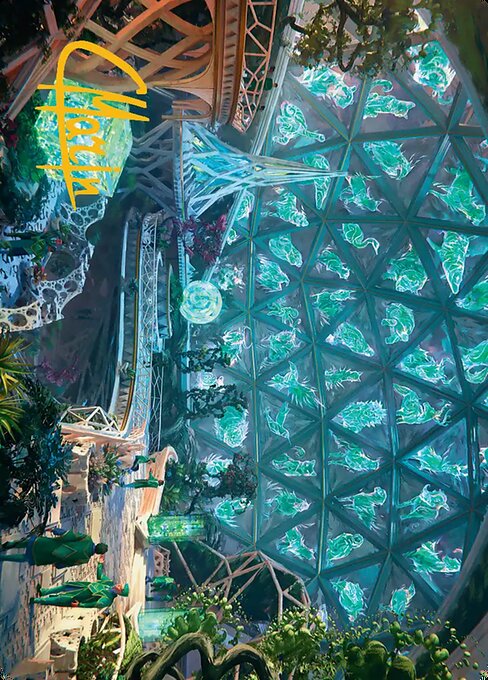 Lattice Library // Lattice Library 36