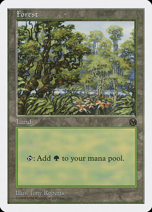Forest 84