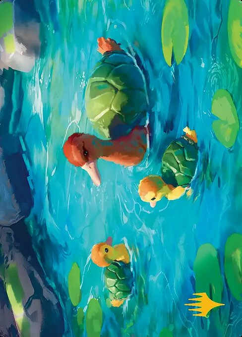 Turtle-Duck // Turtle-Duck 18