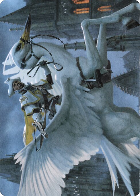Gryff Rider // Gryff Rider 10