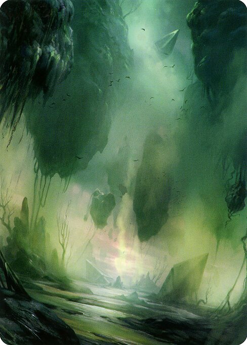 Swamp // Swamp 13