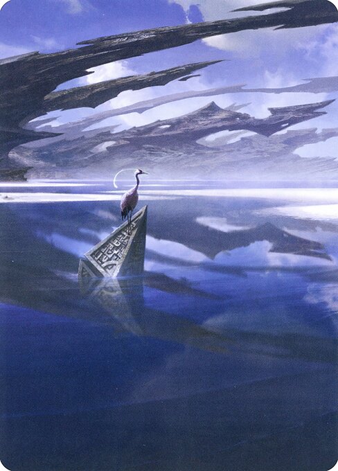 Seachrome Coast // Seachrome Coast 31