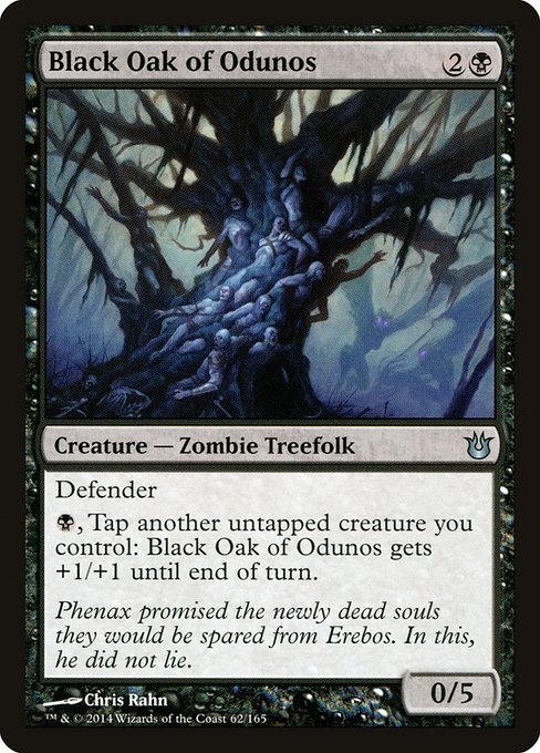 Black Oak of Odunos 62