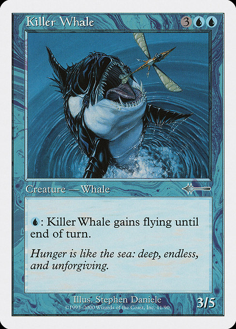 Killer Whale 11