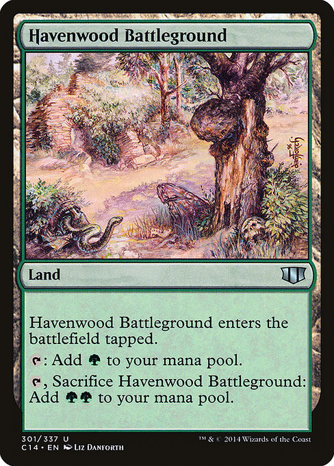 Havenwood Battleground 301