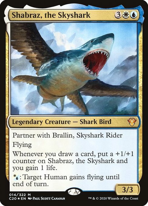 Shabraz, the Skyshark 14