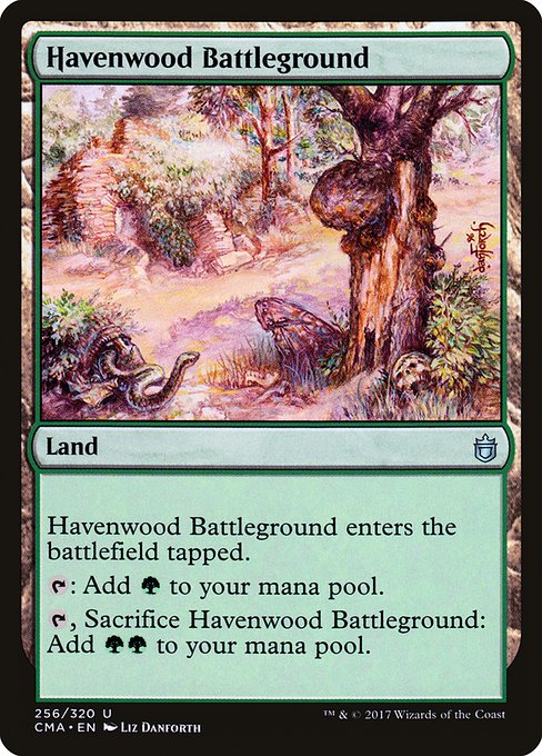 Havenwood Battleground 256
