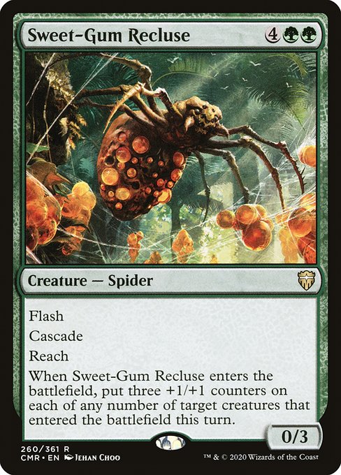 Sweet-Gum Recluse 260