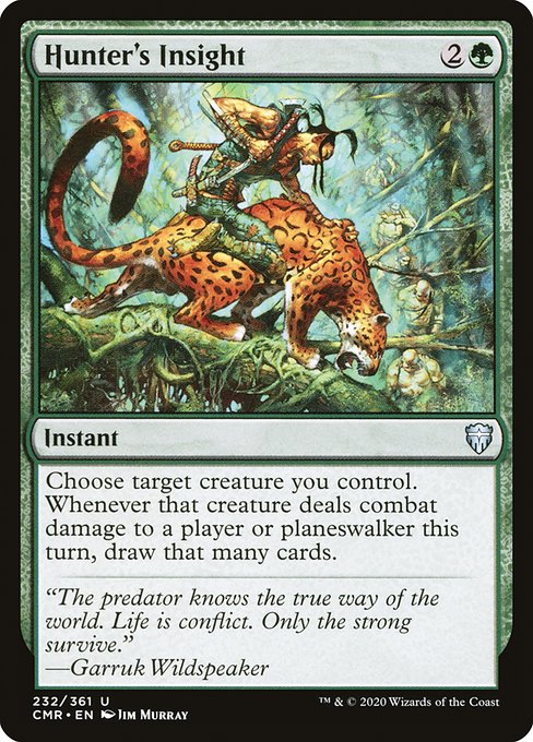 Hunter's Insight 232