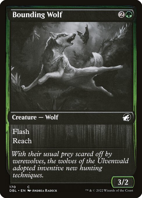 Bounding Wolf 170