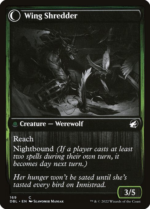 Bird Admirer // Wing Shredder 169, back face