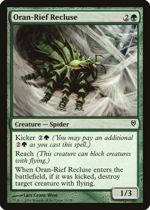 Oran-Rief Recluse 54