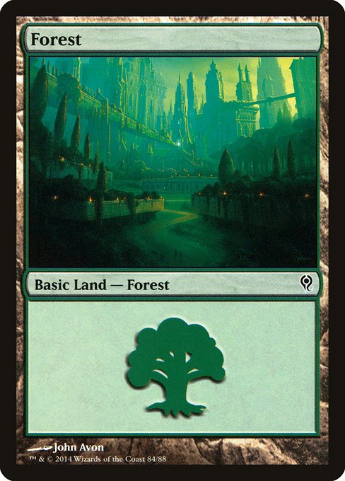 Forest 84