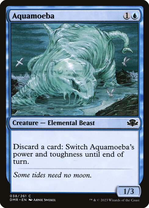 Aquamoeba 38