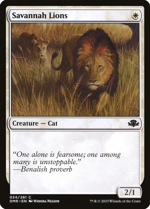 Savannah Lions 24