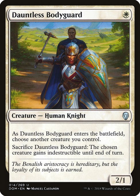 Dauntless Bodyguard 14