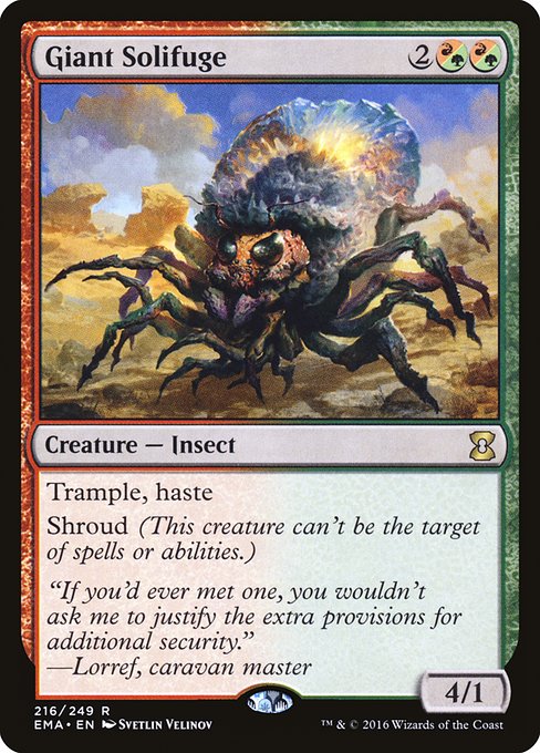 Giant Solifuge 216