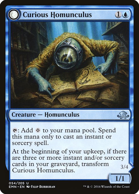 Curious Homunculus // Voracious Reader 54