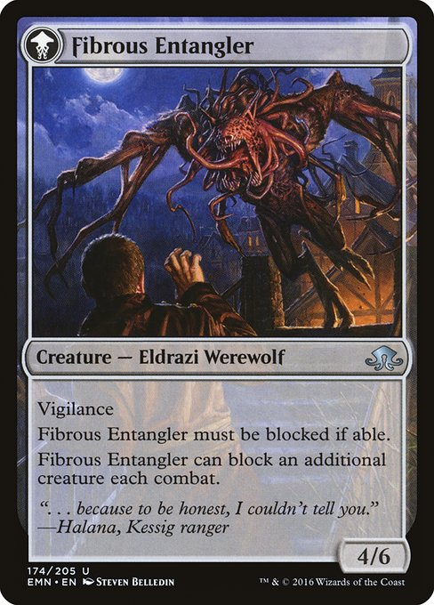 Tangleclaw Werewolf // Fibrous Entangler 174, back face
