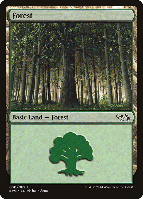 Forest 30