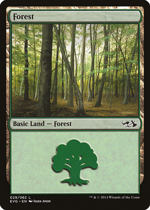 Forest 29