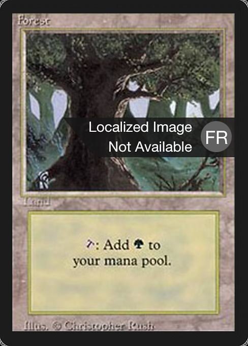 Forest 304
