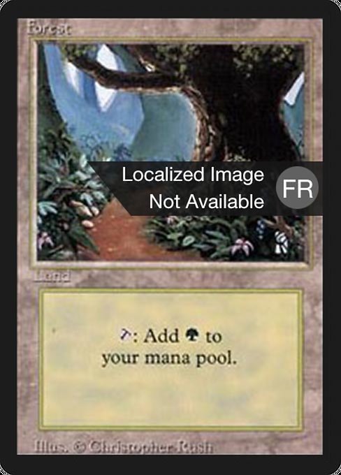 Forest 305