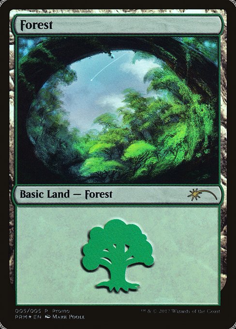 Forest 5
