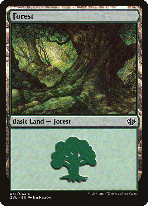 Forest 31