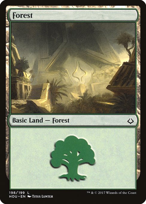 Forest 198
