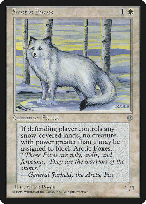 Arctic Foxes 2