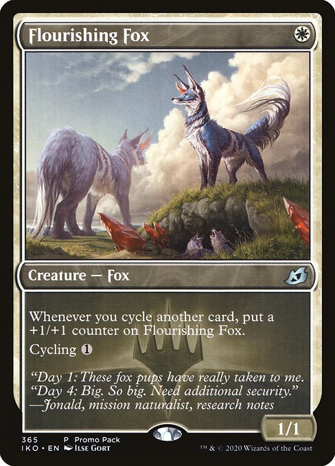Flourishing Fox 365
