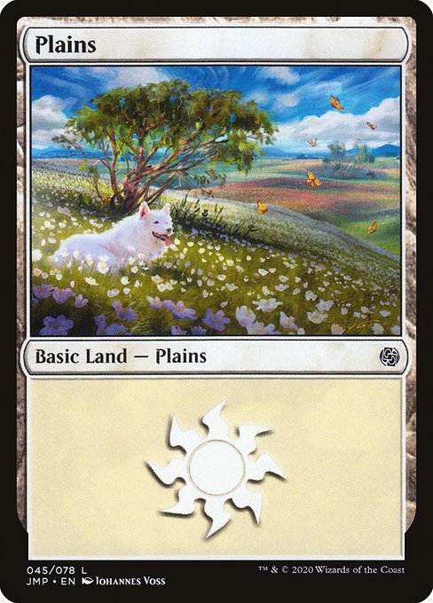 Plains 45