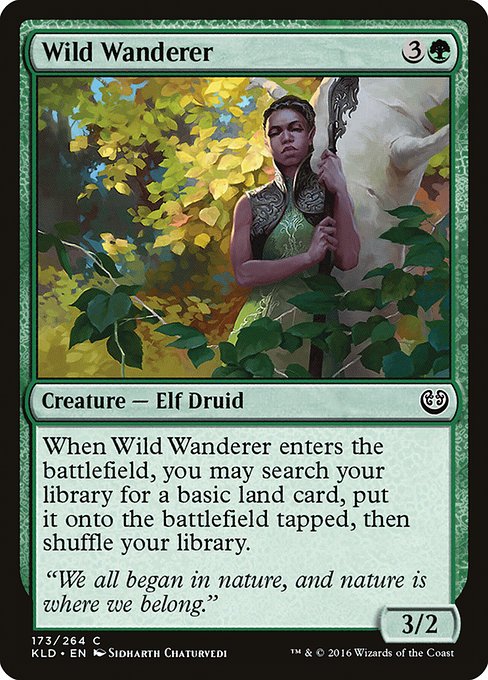Wild Wanderer 173